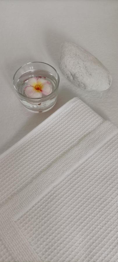 Villa Rustico Viboldone 外观 照片