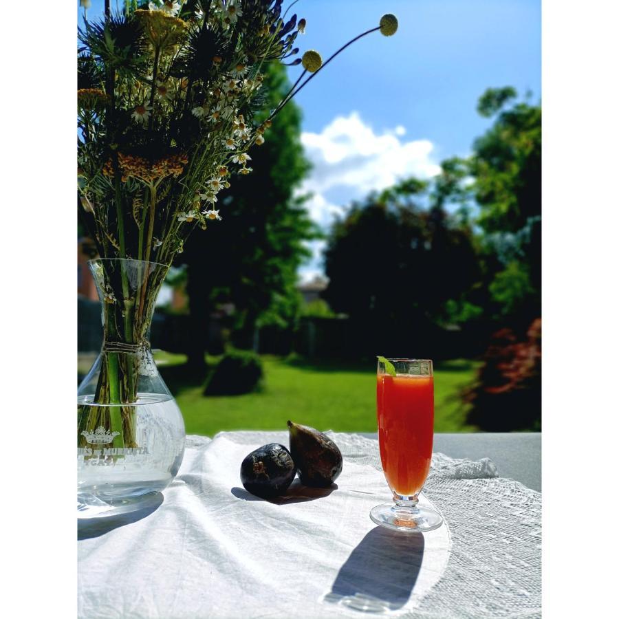 Villa Rustico Viboldone 外观 照片